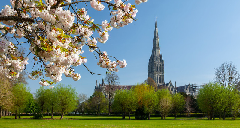 Salisbury Cathedral Spring Blossom